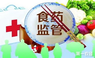 山東棗莊啟動(dòng)春節(jié)期間食品藥品安全專項(xiàng)整治行動(dòng)，聚焦藥品批發(fā)環(huán)節(jié)保障民生安全